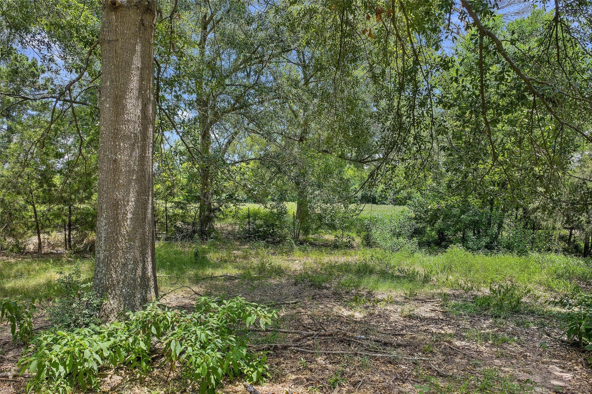161.97 acres in Shelby County - photo 8