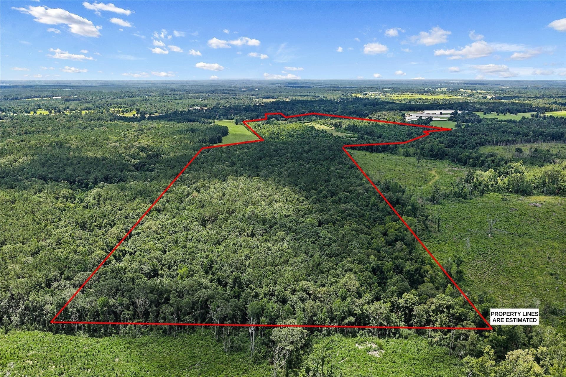 161.97 acres in Shelby County - photo 2