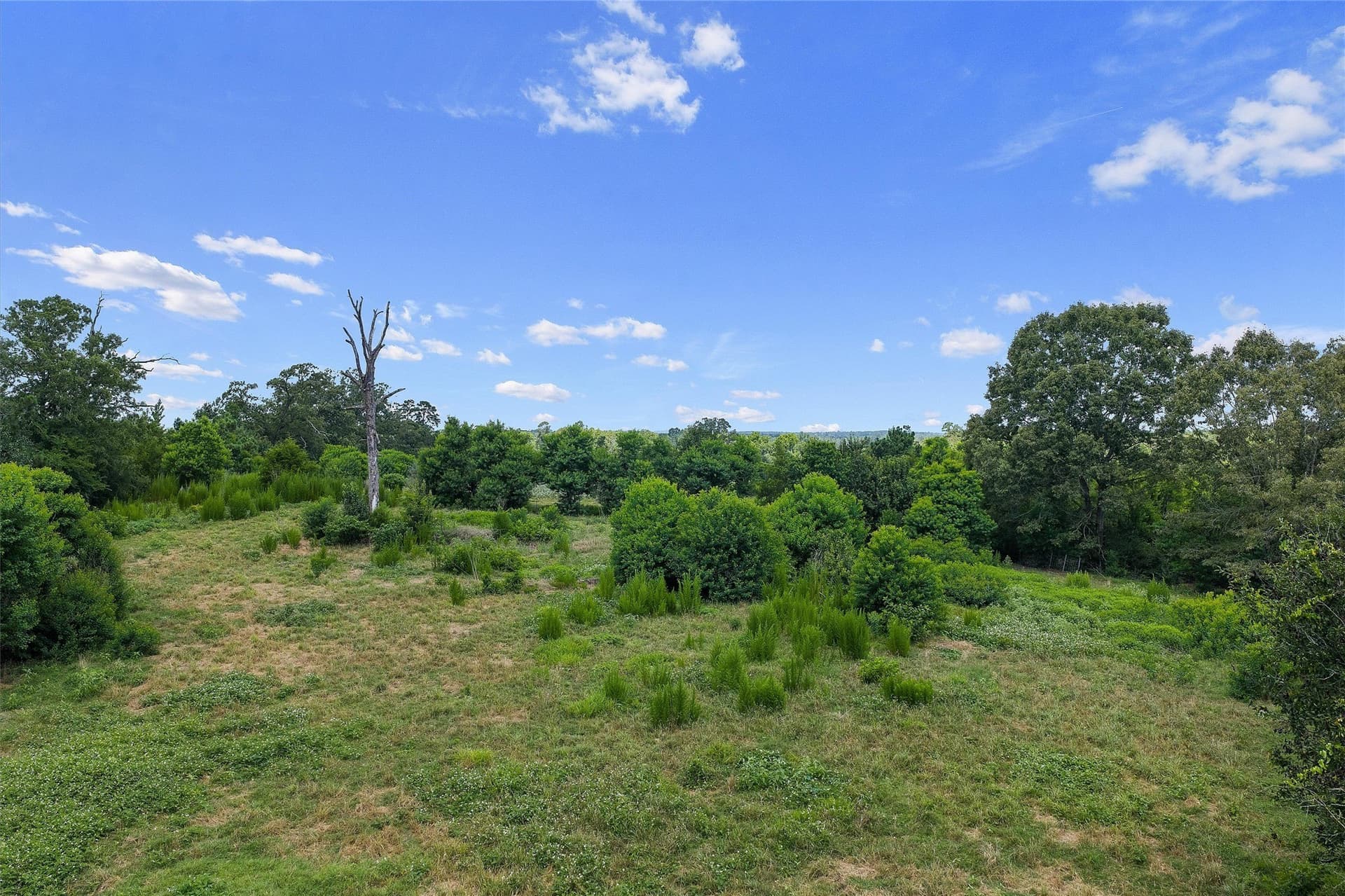 161.97 acres in Shelby County - photo 21