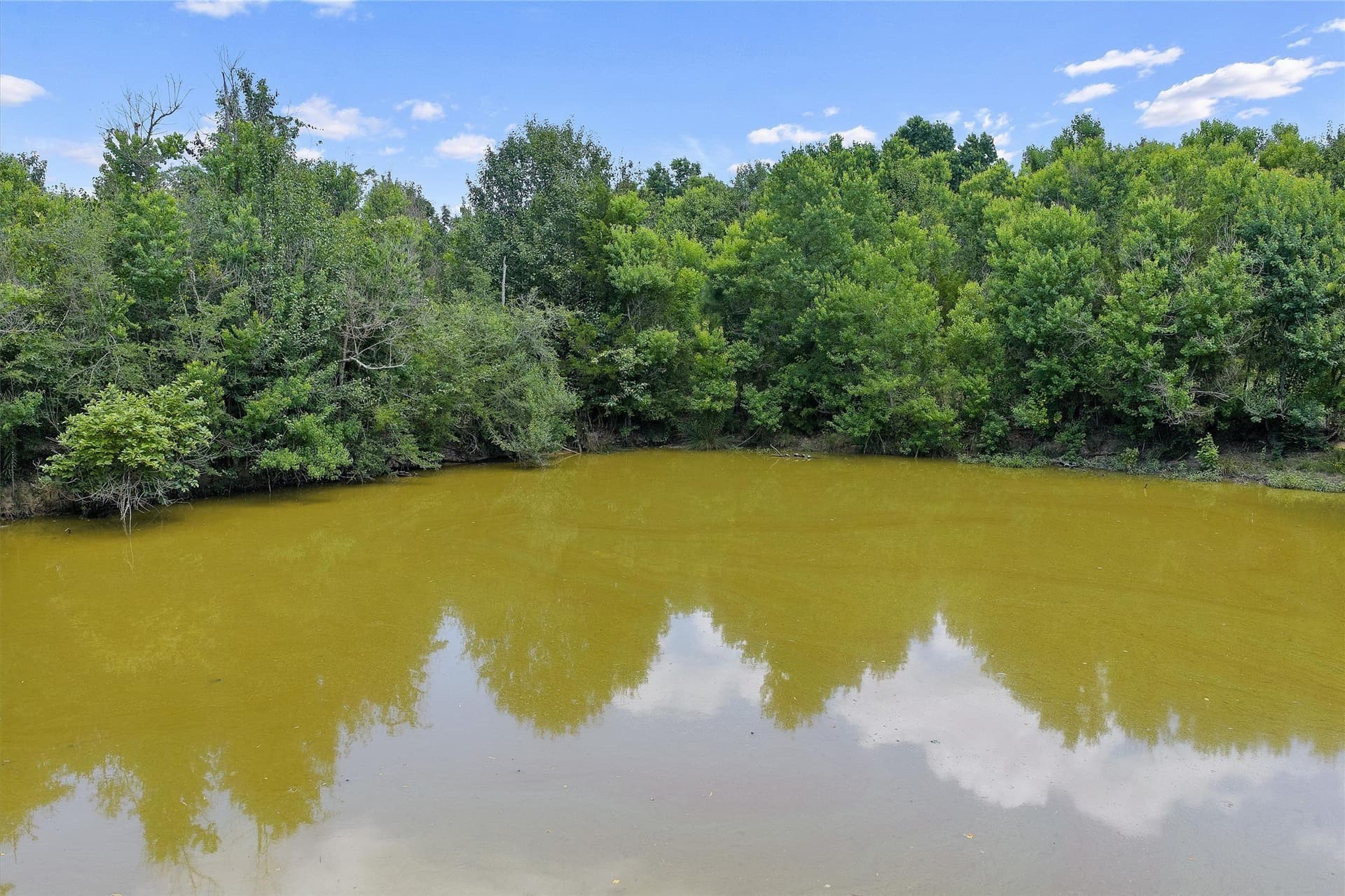 161.97 acres in Shelby County - photo 18