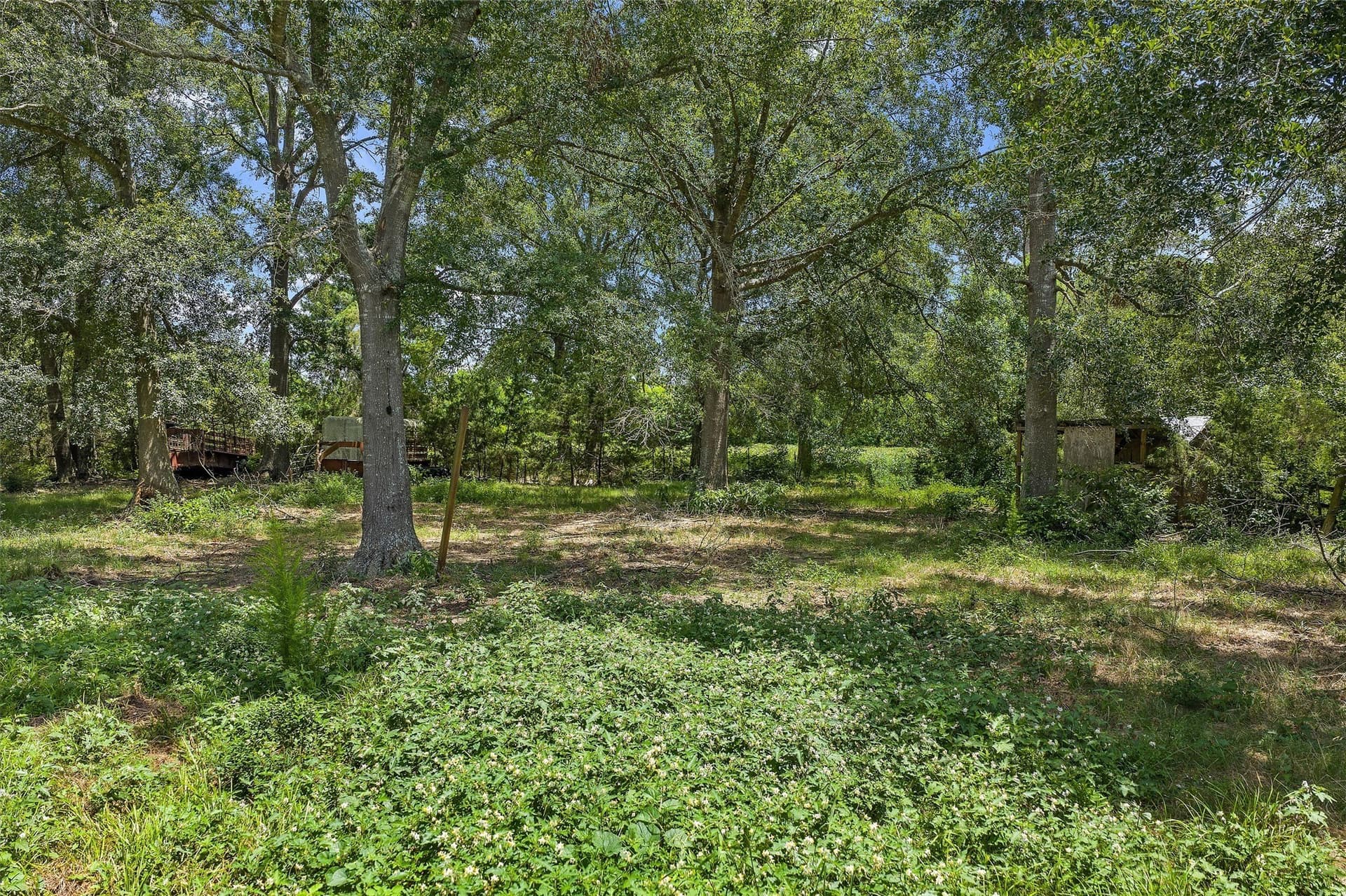 161.97 acres in Shelby County - photo 9