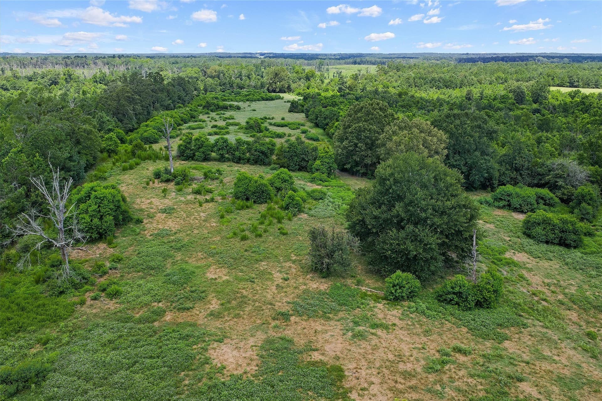 161.97 acres in Shelby County - photo 19