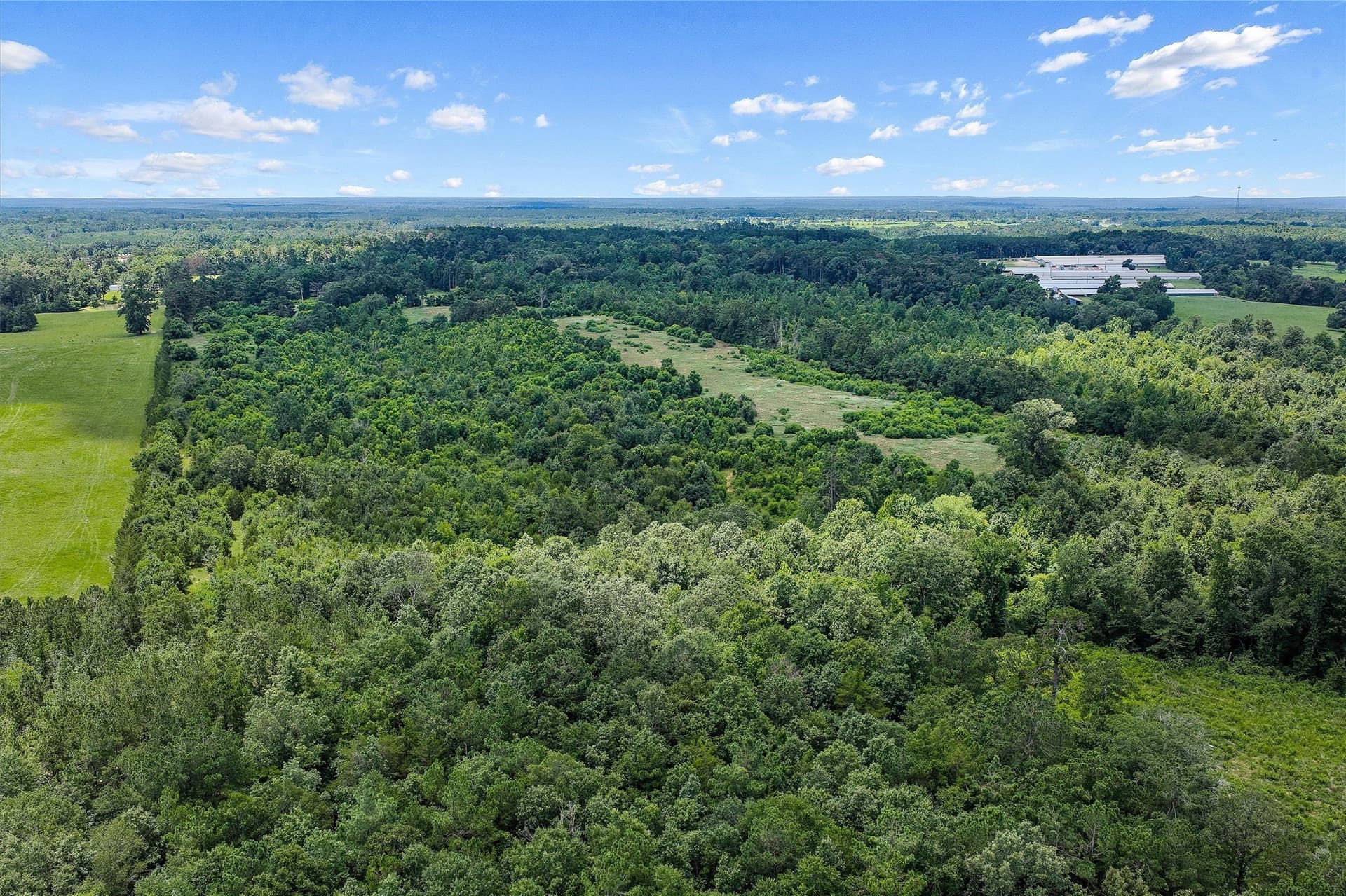161.97 acres in Shelby County - photo 15