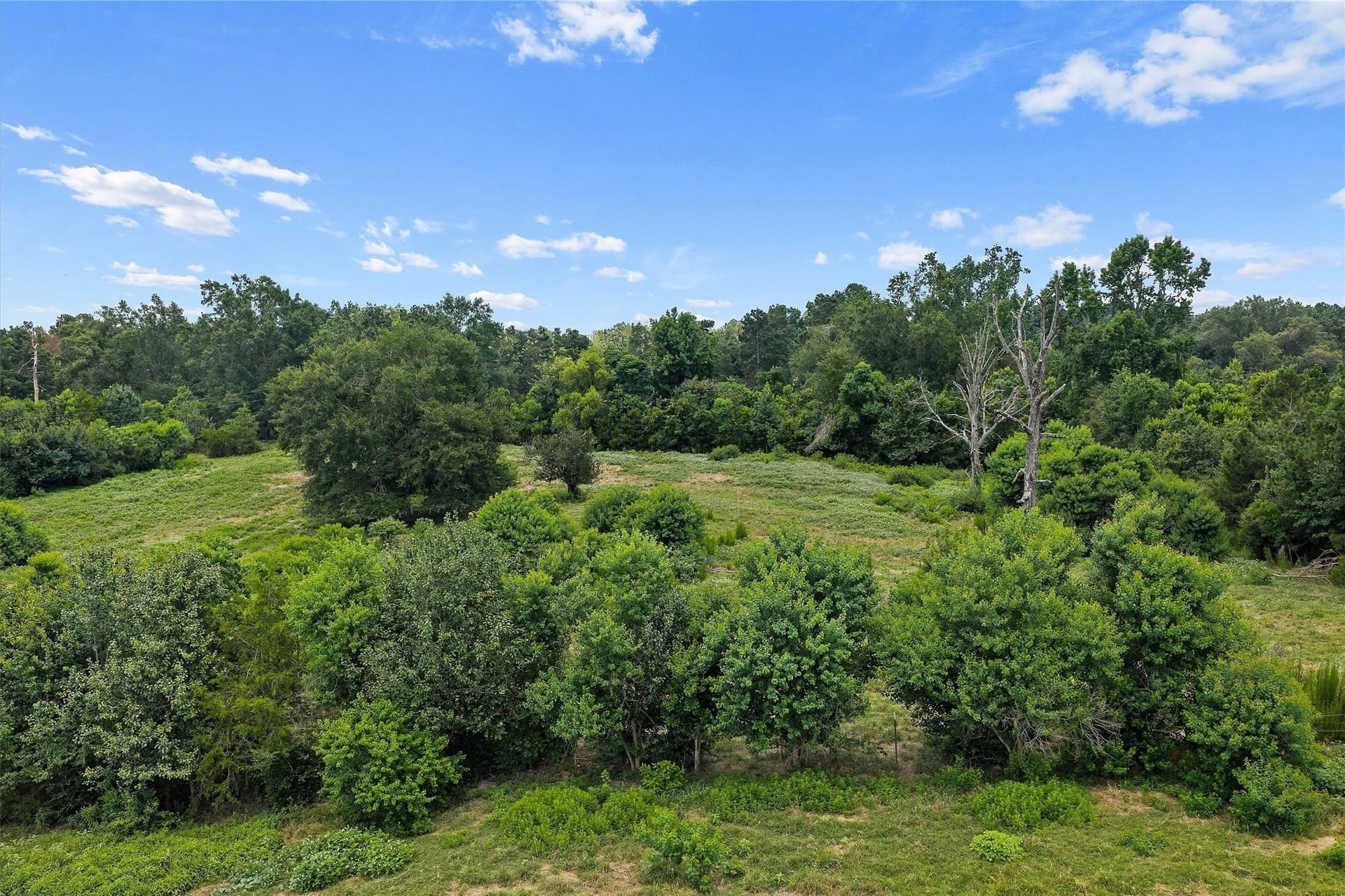 161.97 acres in Shelby County - photo 12
