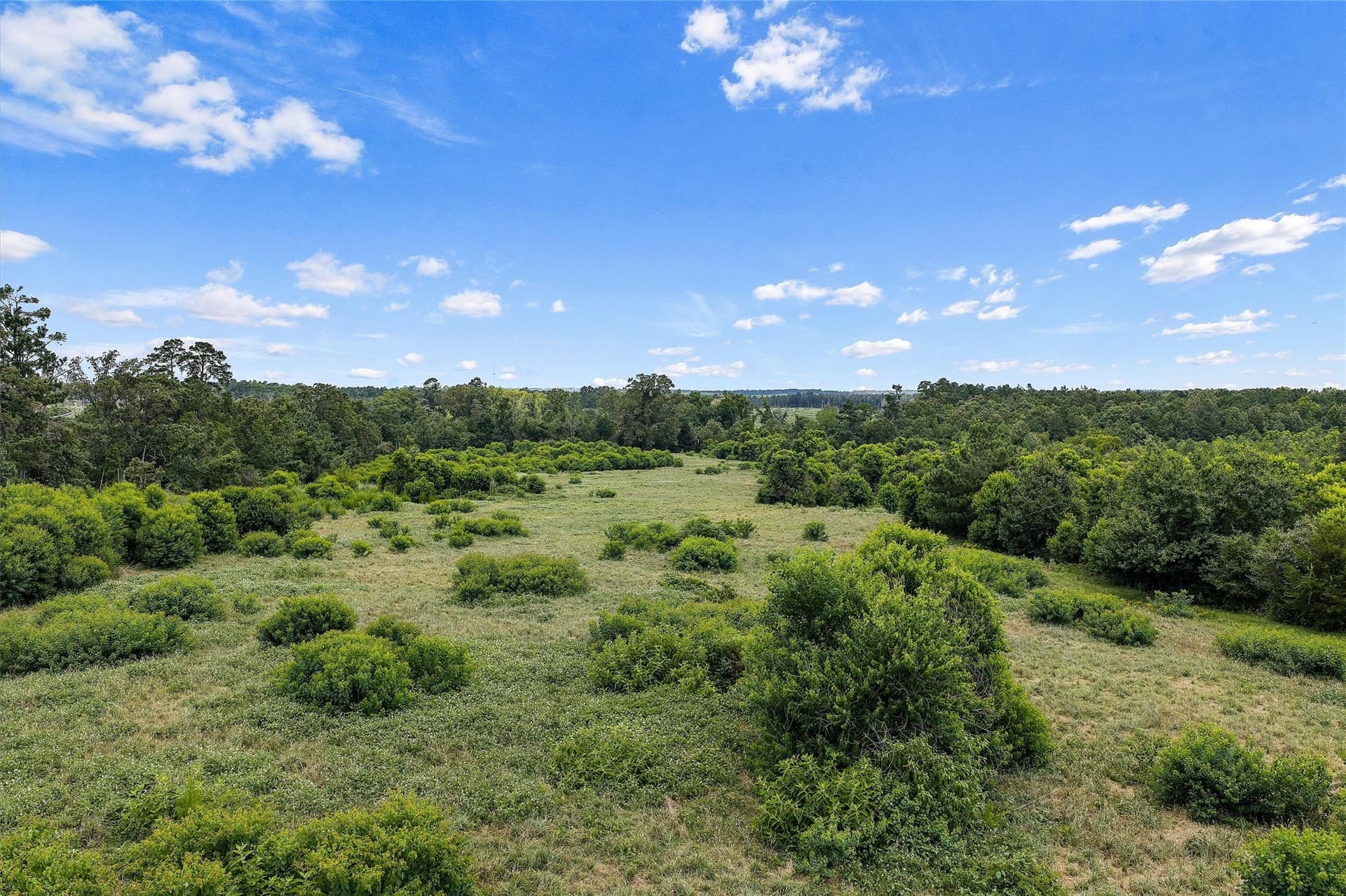 161.97 acres in Shelby County - photo 11