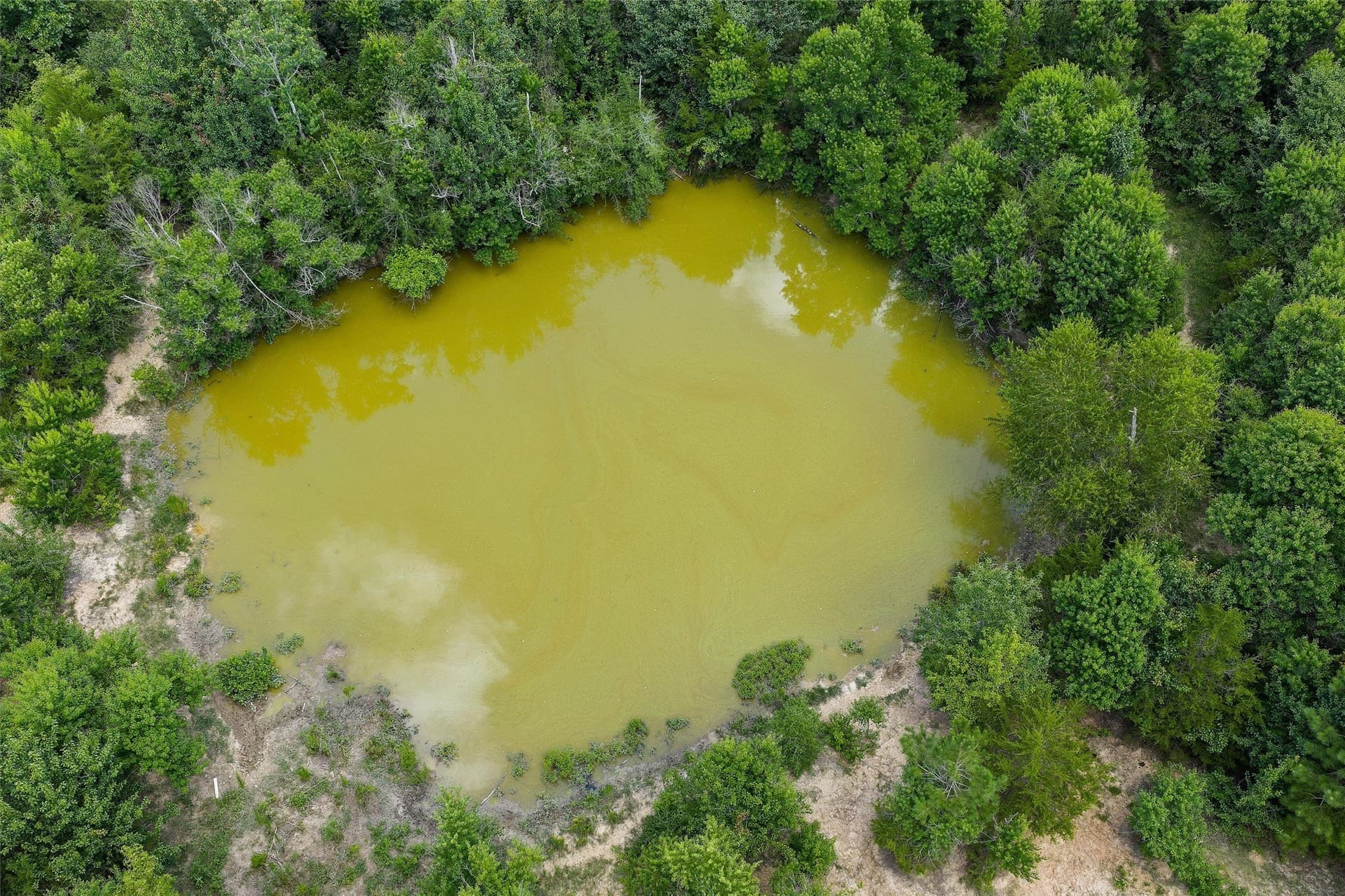 161.97 acres in Shelby County - photo 17