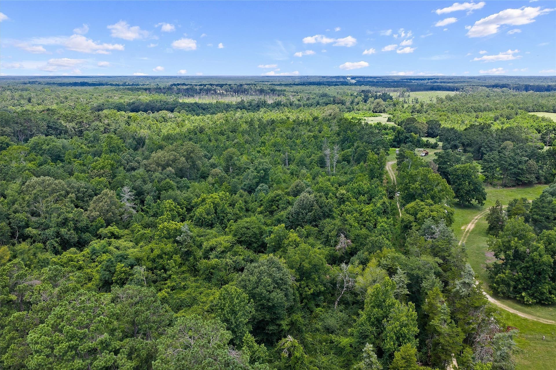 161.97 acres in Shelby County - photo 23