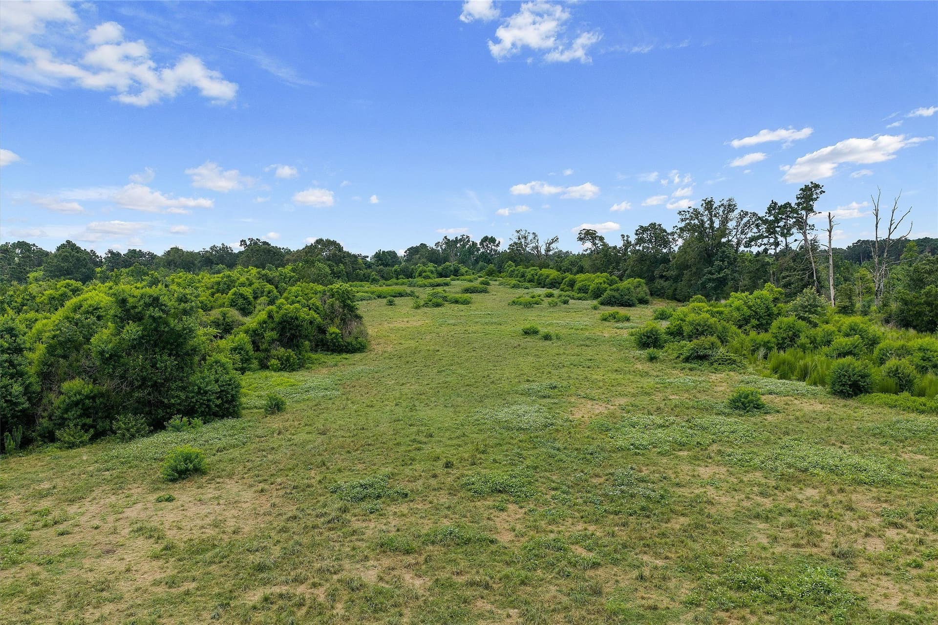 161.97 acres in Shelby County - photo 13