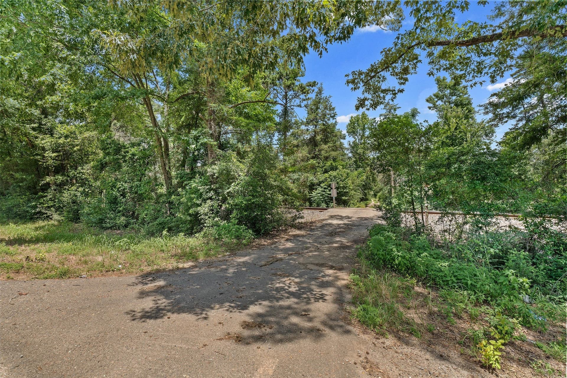 161.97 acres in Shelby County - photo 5