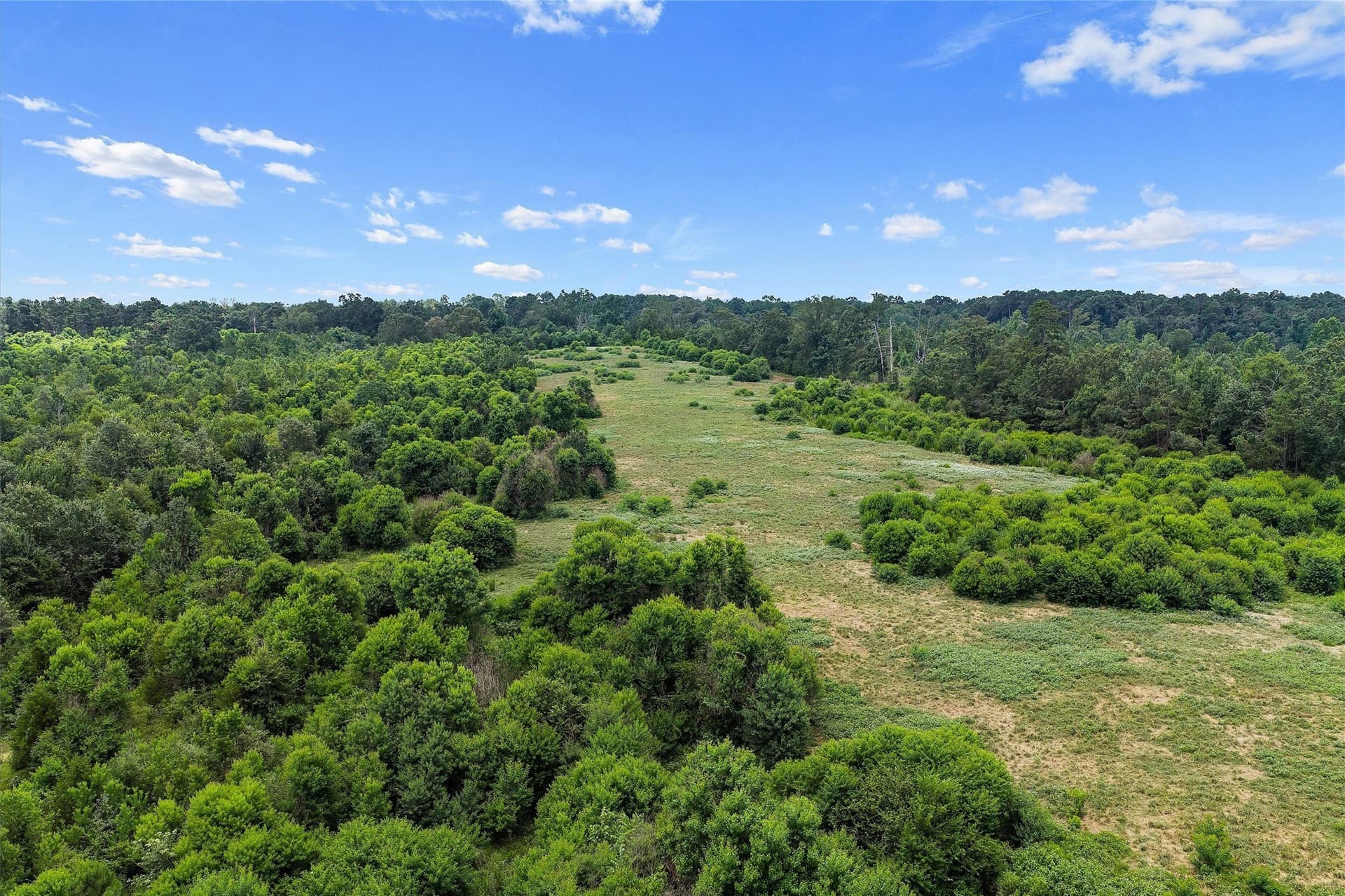 161.97 acres in Shelby County - photo 14