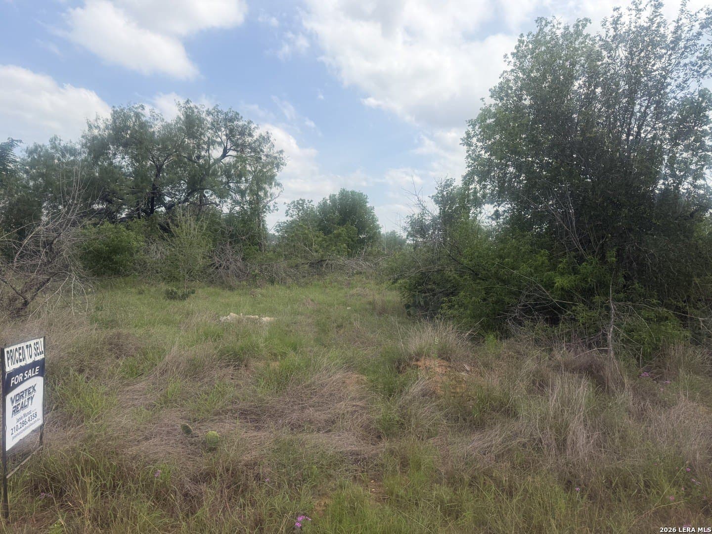 1.09 acres in Bexar County gallery image 3