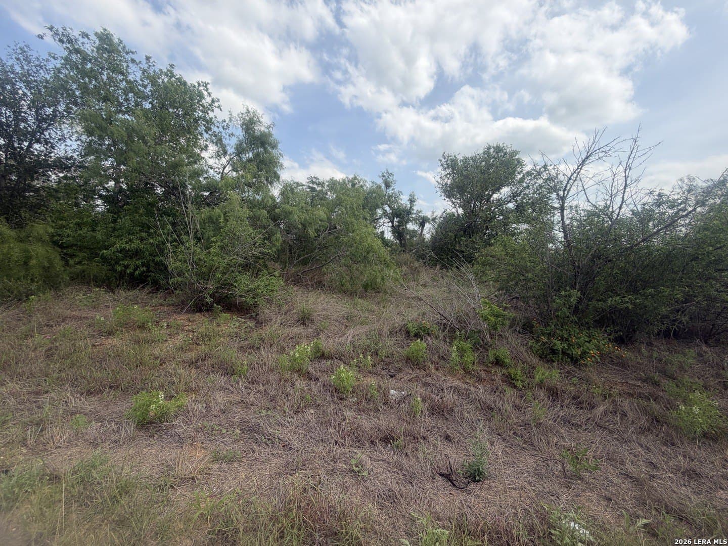1.09 acres in Bexar County gallery image 4