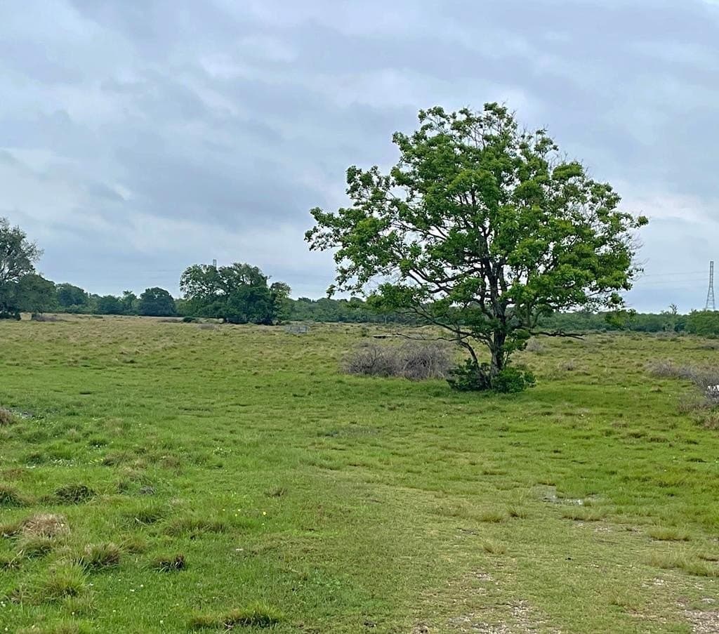 20 acres in Texas County