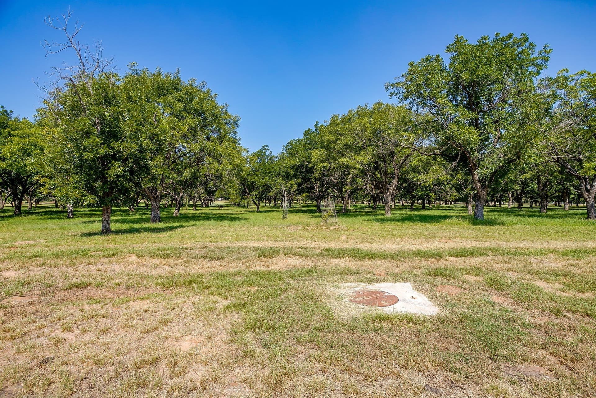 1.54 acres in Hood County - photo 13