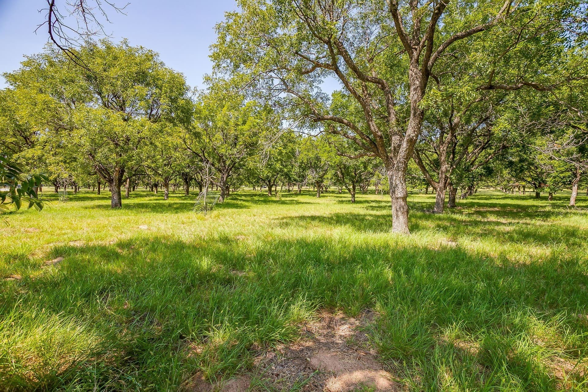 1.54 acres in Hood County - photo 15