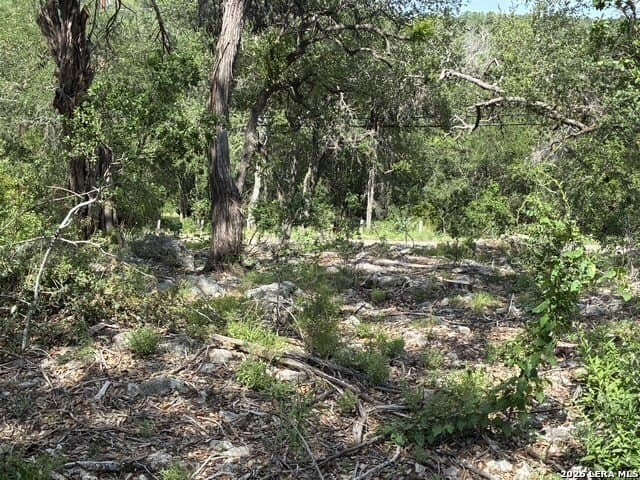 0.15 acres in Comal County gallery image 4