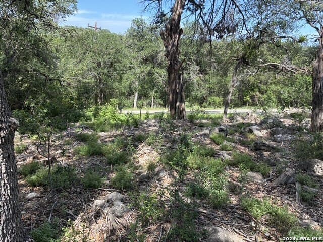 0.15 acres in Comal County gallery image 2
