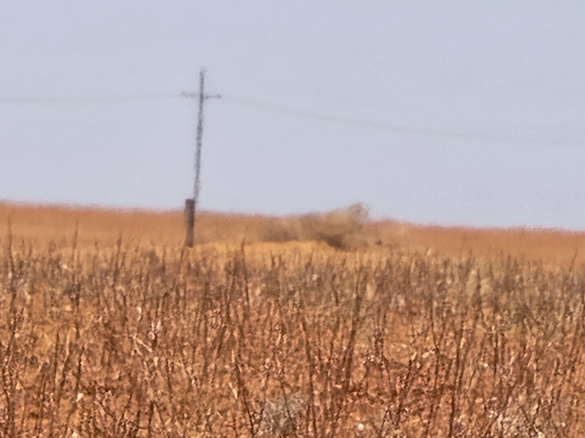 160 acres in Terry County gallery image 2