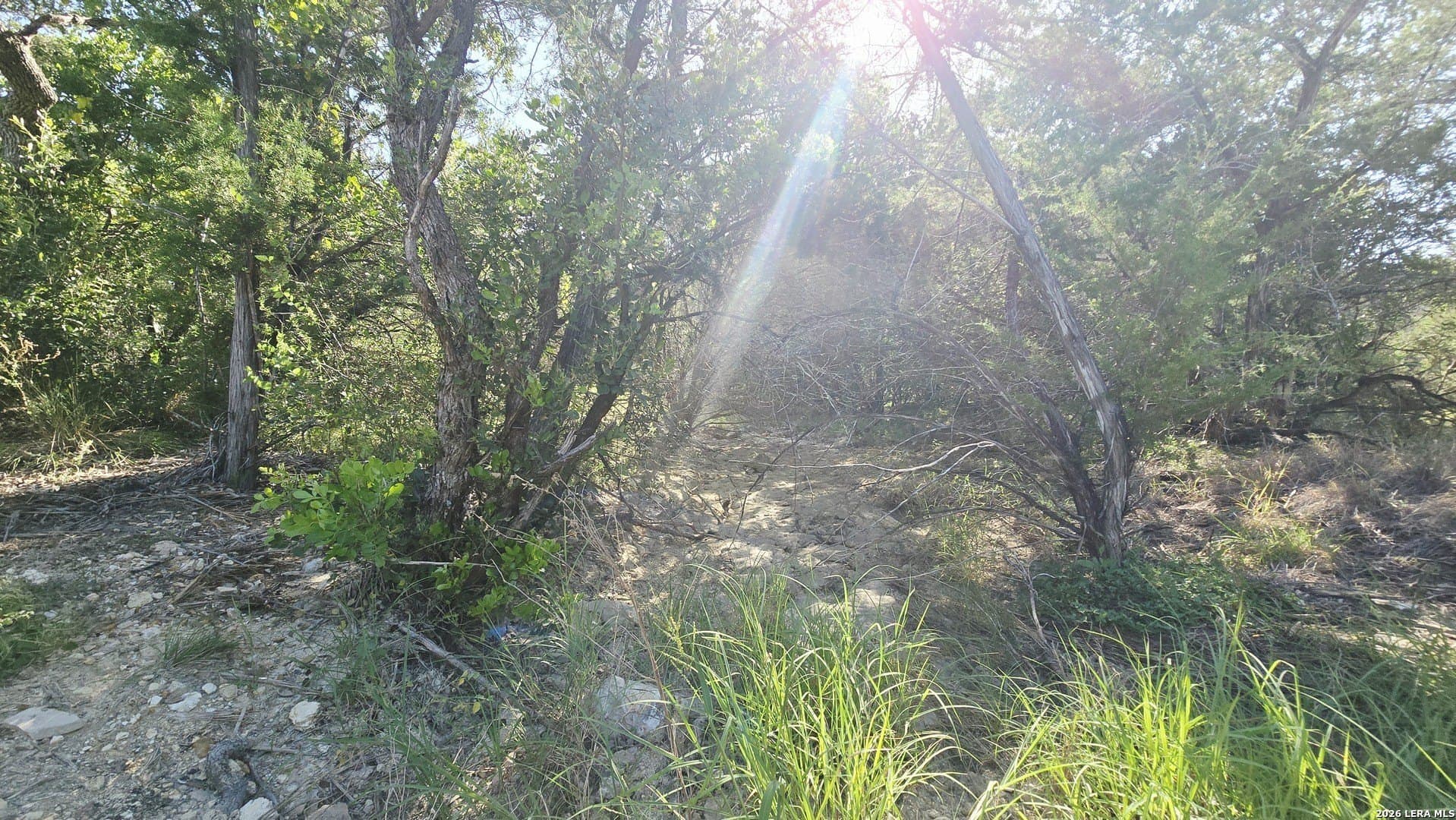 5.26 acres in Medina County - photo 23