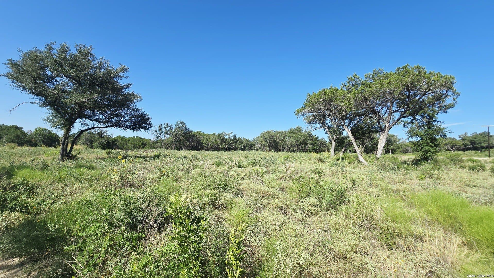 5.26 acres in Medina County - photo 12