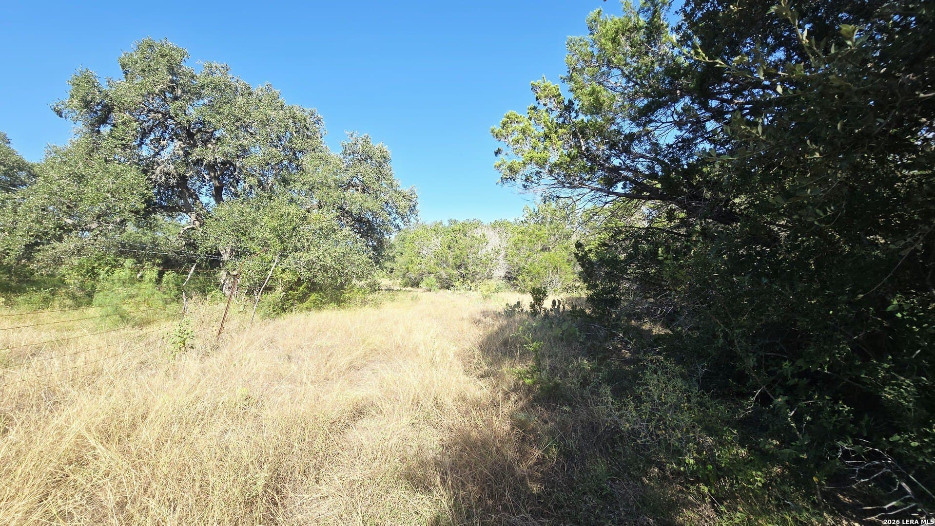 5.26 acres in Medina County - photo 17