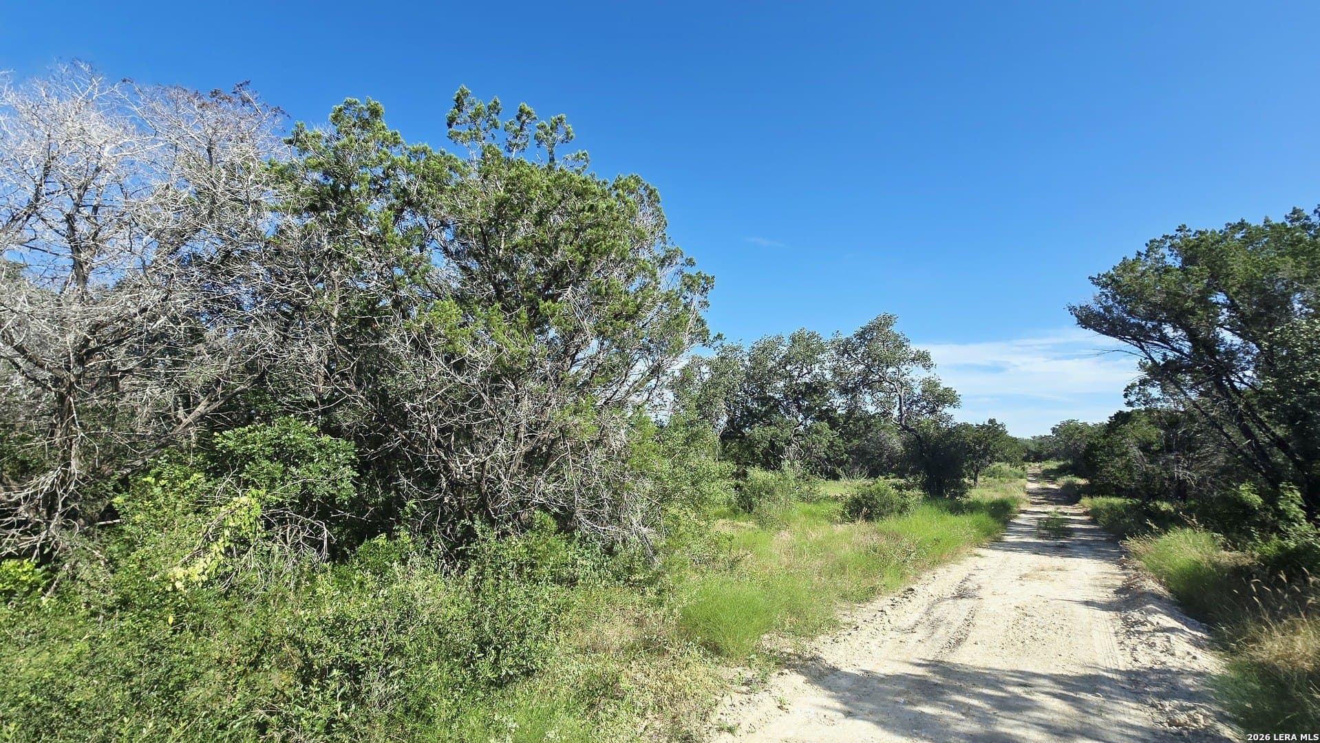 5.26 acres in Medina County - photo 22