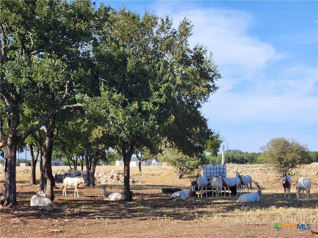 5.24 acres in Burnet County - photo 15