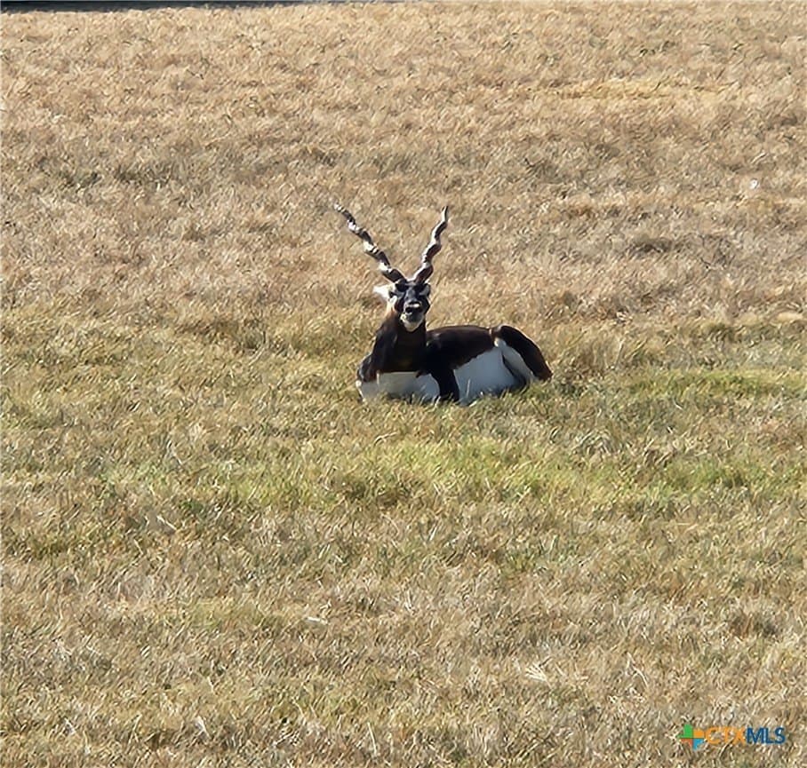5.24 acres in Burnet County - photo 9