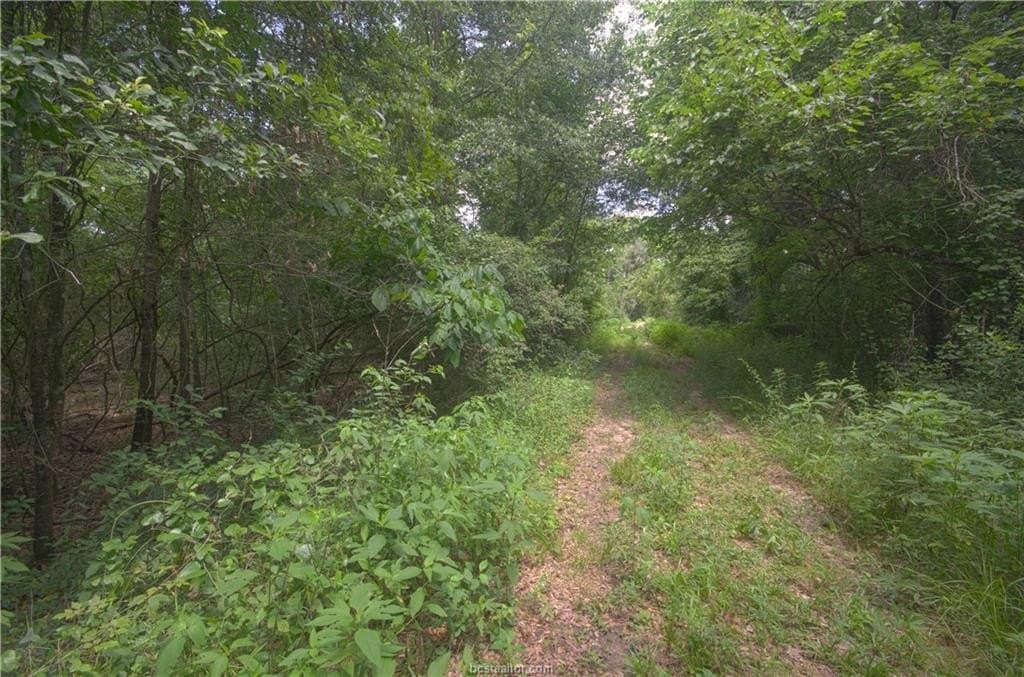 0.62 acres in Grimes County featured view
