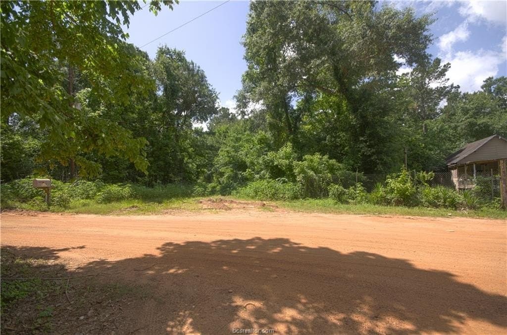 0.62 acres in Grimes County gallery image 2