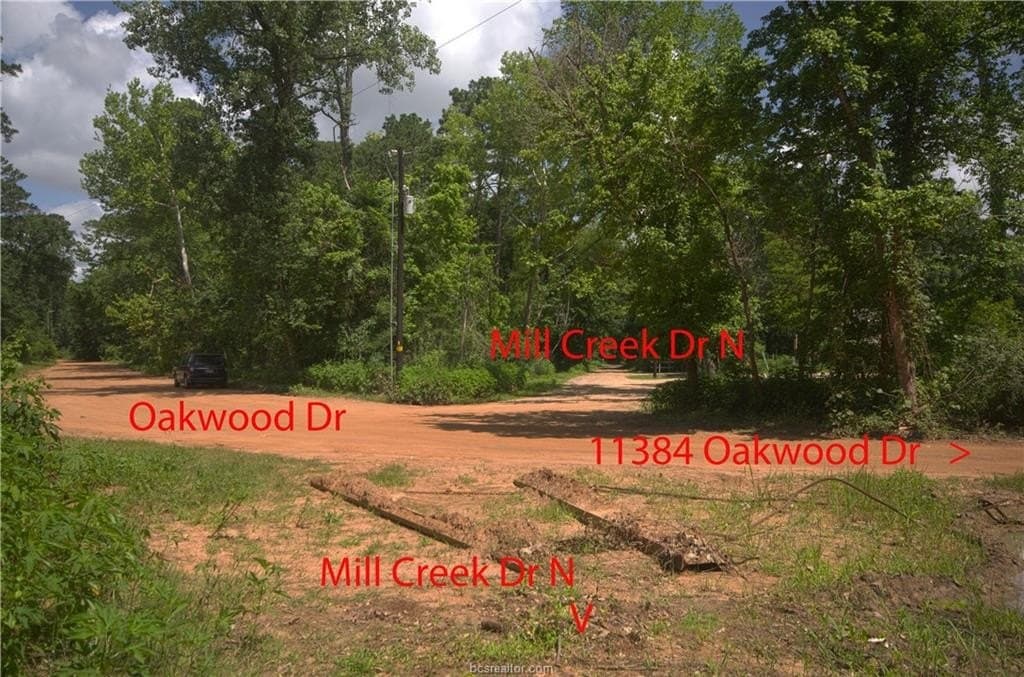 0.62 acres in Grimes County gallery image 3