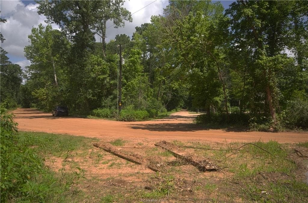 0.62 acres in Grimes County gallery image 4
