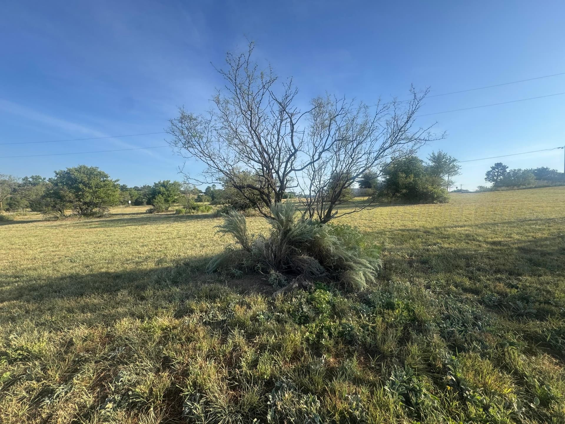 0 acres in Texas County gallery image 3