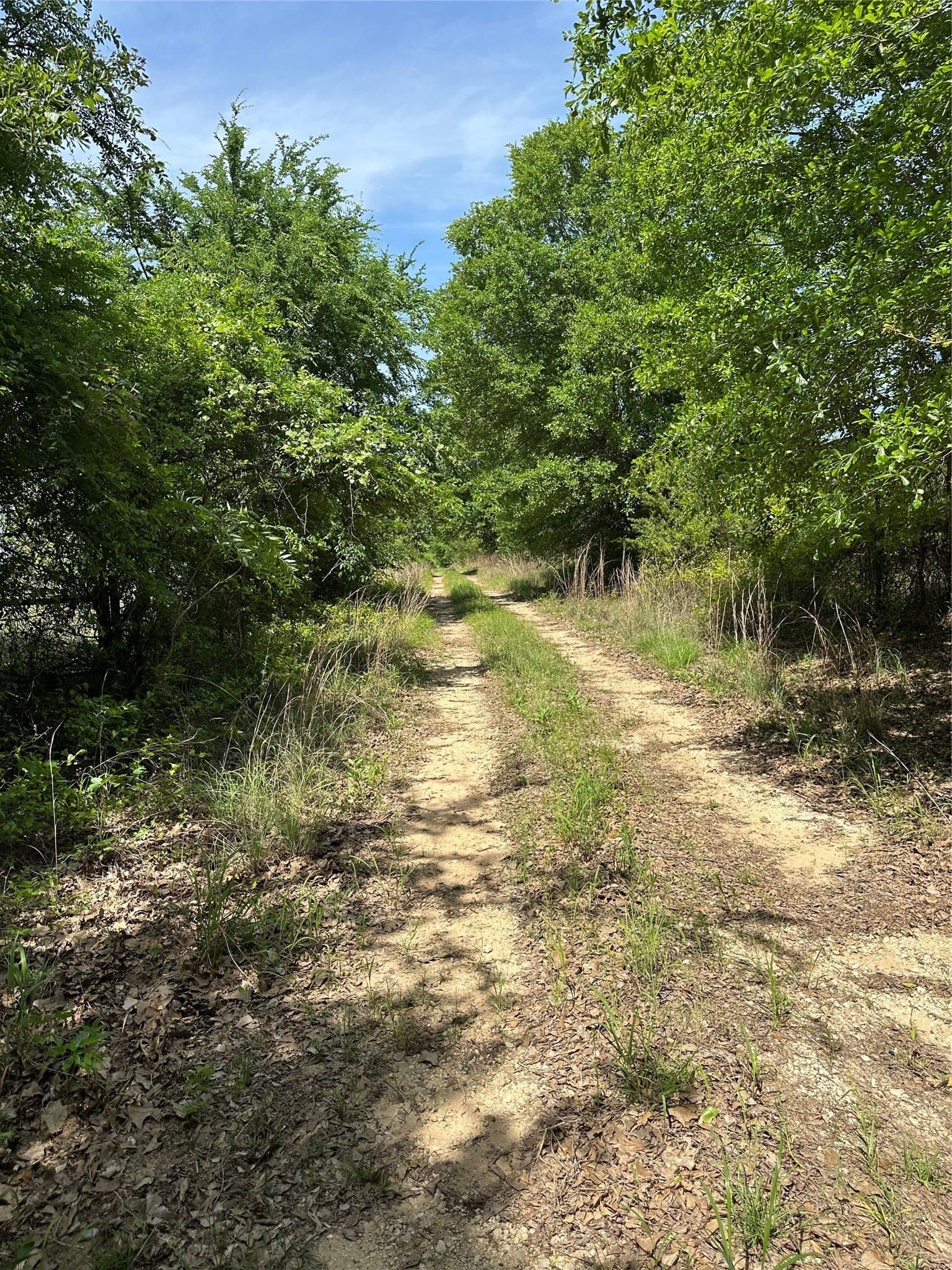 25 acres in Freestone County gallery image 2
