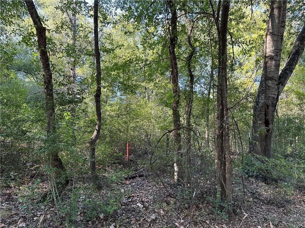 25 acres in Freestone County gallery image 3