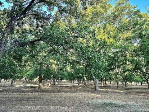 17.94 acres in Comanche County - photo 8
