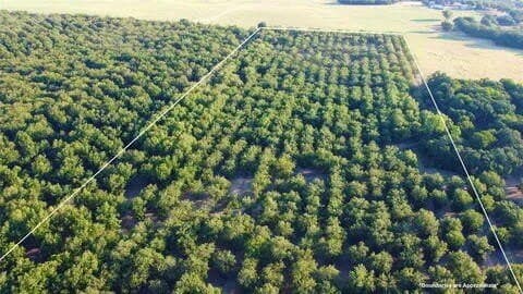 17.94 acres in Comanche County gallery image 3