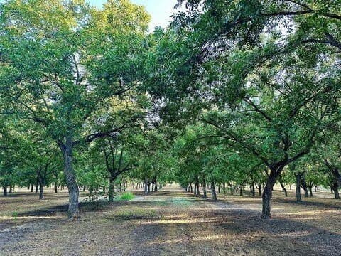 17.94 acres in Comanche County - photo 9