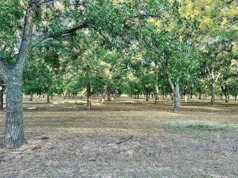 17.94 acres in Comanche County - photo 10