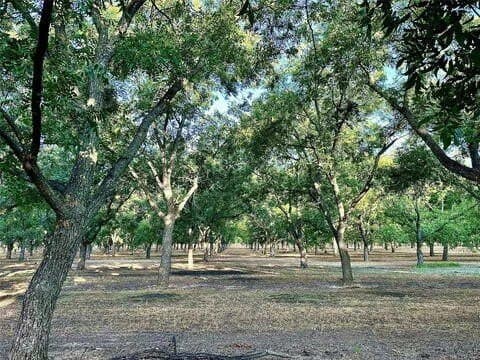 17.94 acres in Comanche County - photo 7