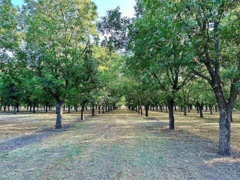 17.94 acres in Comanche County featured view