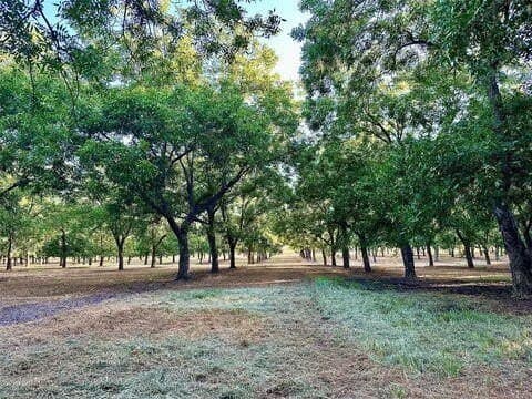 17.94 acres in Comanche County - photo 6