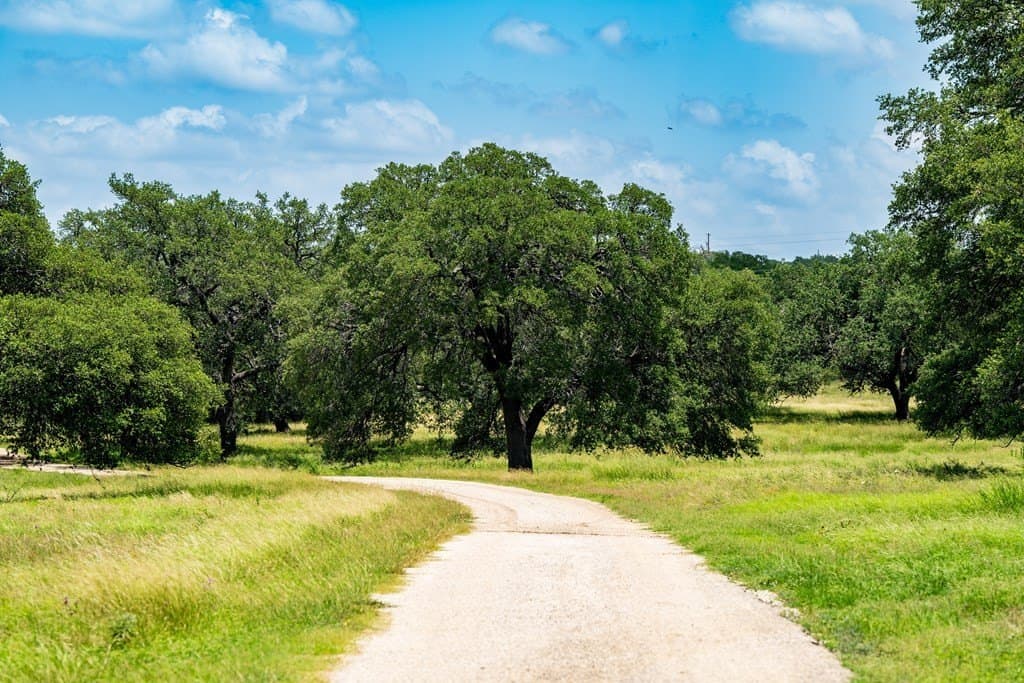 285 acres in Blanco County featured view