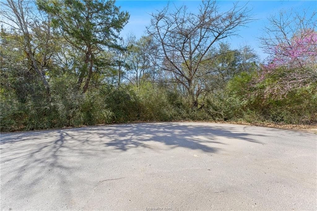 0.57 acres in Brazos County gallery image 4