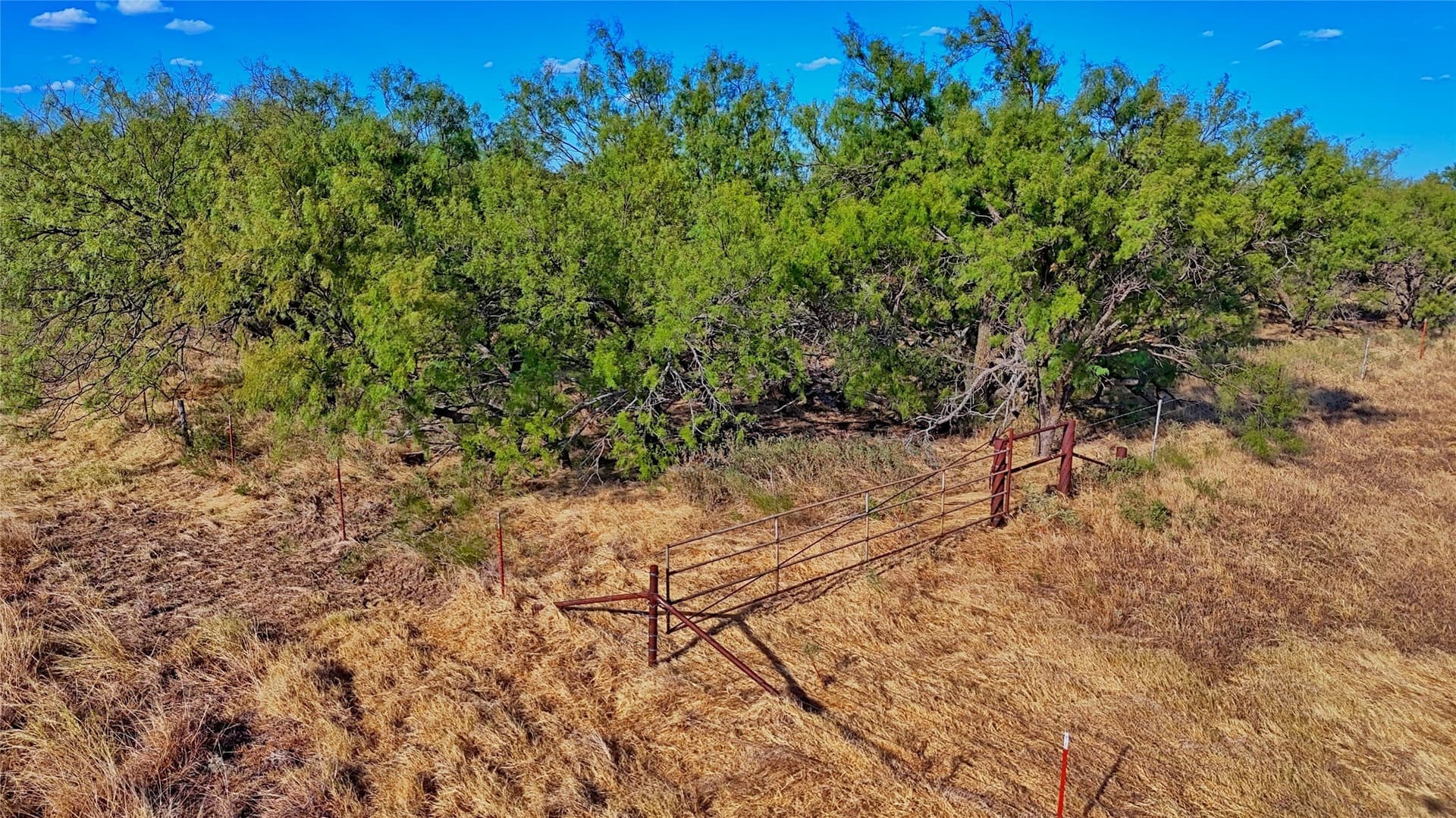 39.59 acres in Clay County - photo 3