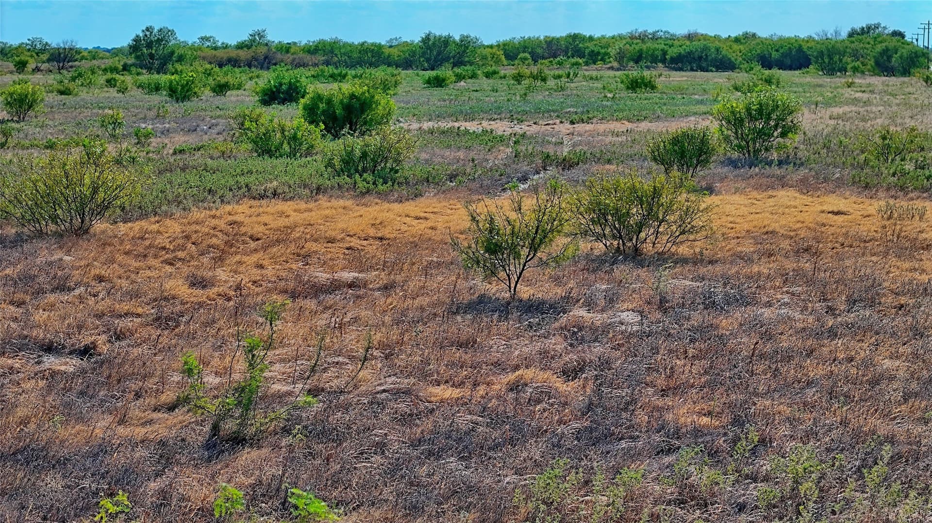 39.59 acres in Clay County - photo 15