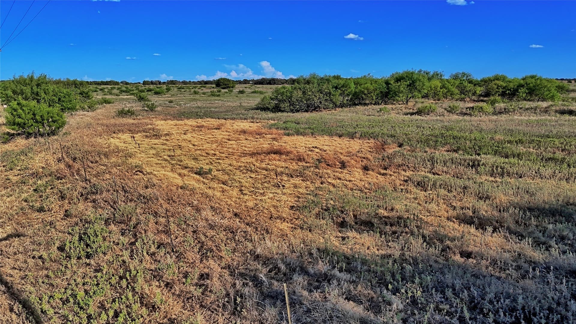 39.59 acres in Clay County - photo 6