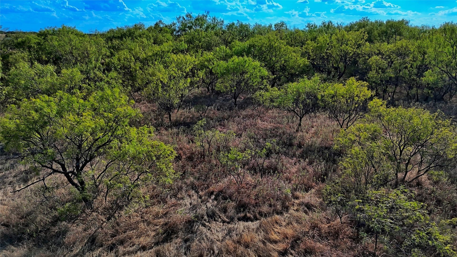 39.59 acres in Clay County - photo 18
