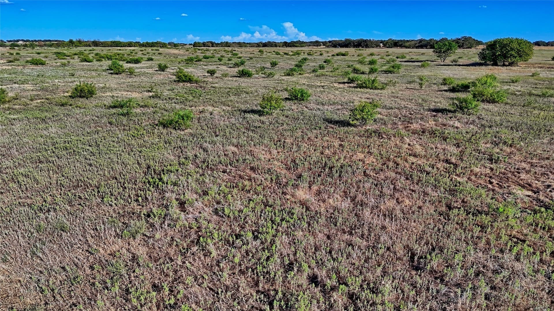 39.59 acres in Clay County - photo 8