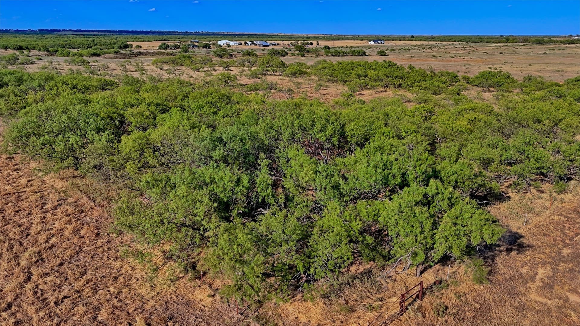39.59 acres in Clay County - photo 4